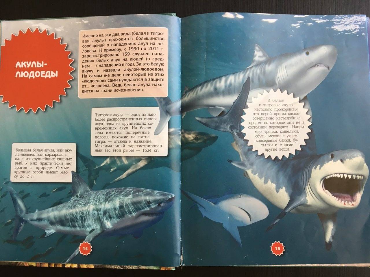 Иллюстрация 14 из 21 для Подводный мир - Ликсо, Третьякова | Лабиринт - книги. Источник: Ольга Тон