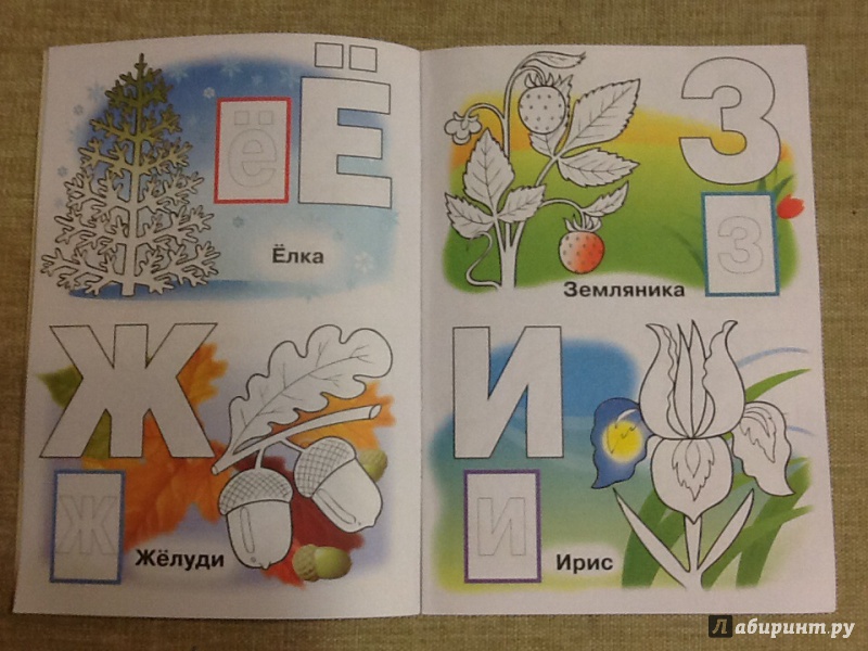 Иллюстрация 6 из 22 для Азбука с наклейками "Растения, овощи и фрукты" | Лабиринт - книги. Источник: Ya Katya