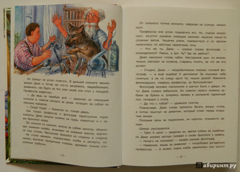 Иллюстрация 8 из 95 для Необыкновенные приключения Карика и Вали - Ян Ларри | Лабиринт - книги. Источник: Меженин  Алексей