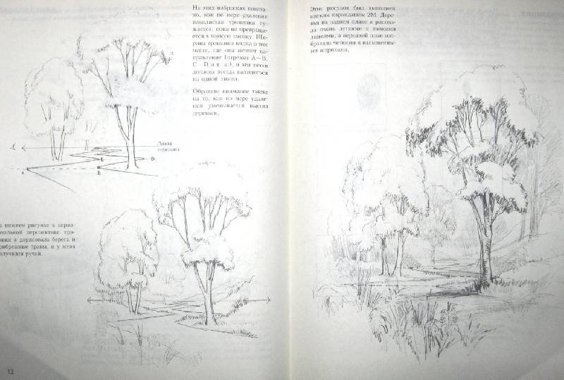 Иллюстрация 5 из 21 для Учитесь рисовать природу - Мойра Хантли | Лабиринт - книги. Источник: Спанч Боб