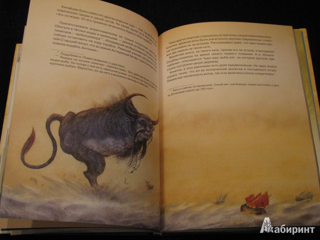 Иллюстрация 7 из 61 для Сказочное мореплавание - Андрей Усачев | Лабиринт - книги. Источник: Nemertona