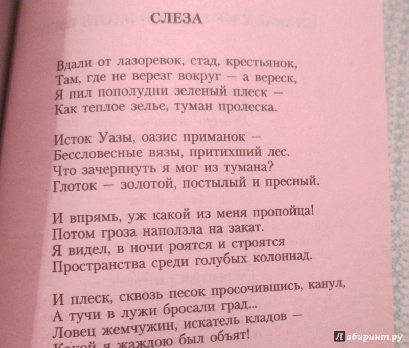 Иллюстрация 35 из 35 для Пьяный корабль - Артюр Рембо | Лабиринт - книги. Источник: NiNon