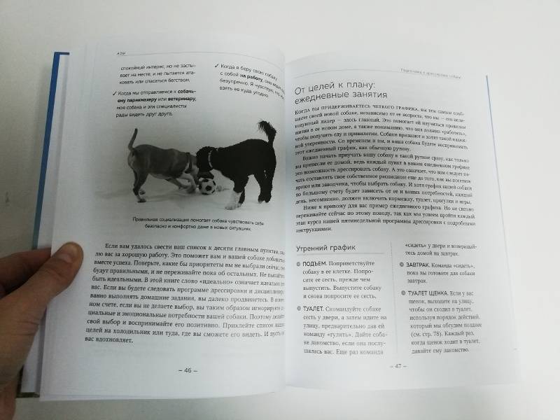 Иллюстрация 20 из 24 для Дрессировка без наказания. 5 недель, которые сделают вашу собаку лучшей в мире - Сильвия-Стасиевич, Кей | Лабиринт - книги. Источник: dbyyb