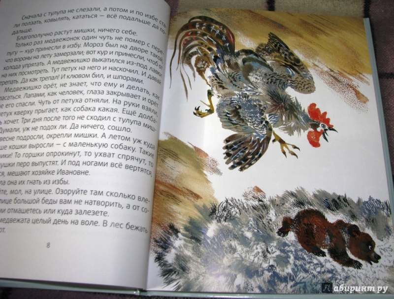 Иллюстрация 14 из 39 для Медведь-рыбак - Евгений Чарушин | Лабиринт - книги. Источник: Бог в помощь