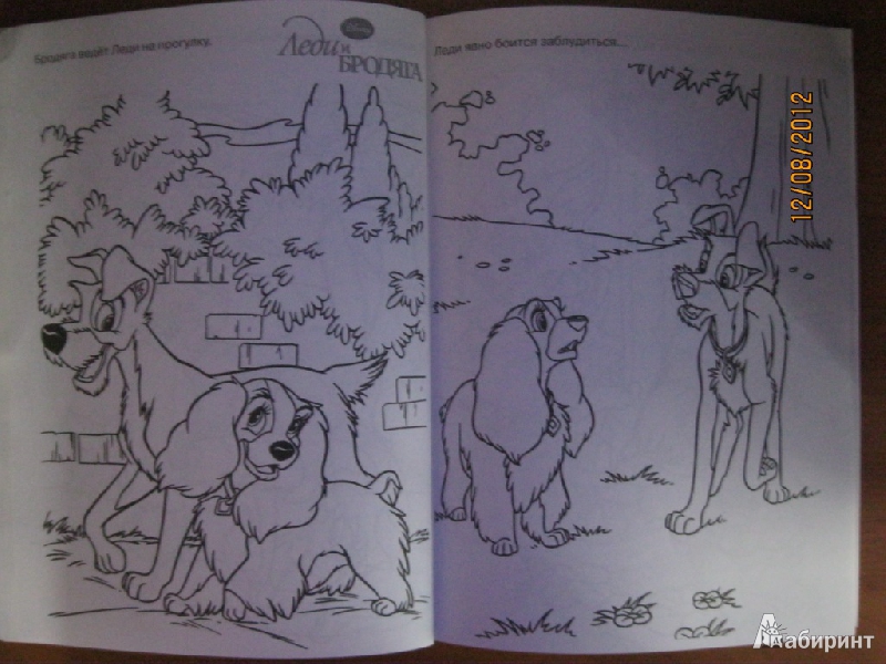 Иллюстрация 6 из 12 для Супер раскраска "Дисней" (№ 1104) | Лабиринт - книги. Источник: Гилева  Любовь Валерьевна