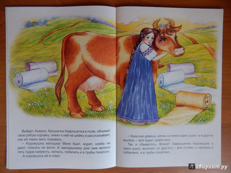 Иллюстрация 15 из 32 для Хаврошечка | Лабиринт - книги. Источник: Мелкова  Оксана