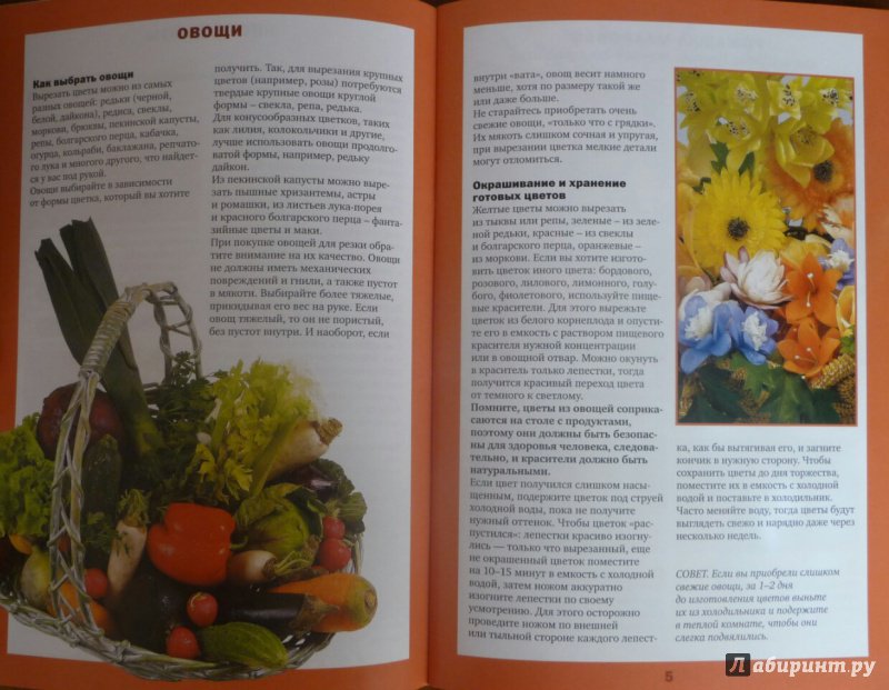 Иллюстрация 2 из 35 для Махровые цветы - Маргарита Кузнецова | Лабиринт - книги. Источник: SiB