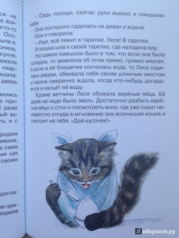 Иллюстрация 16 из 21 для Про кошку Лесю - Светлана Комракова | Лабиринт - книги. Источник: Кузнецова  Ирина