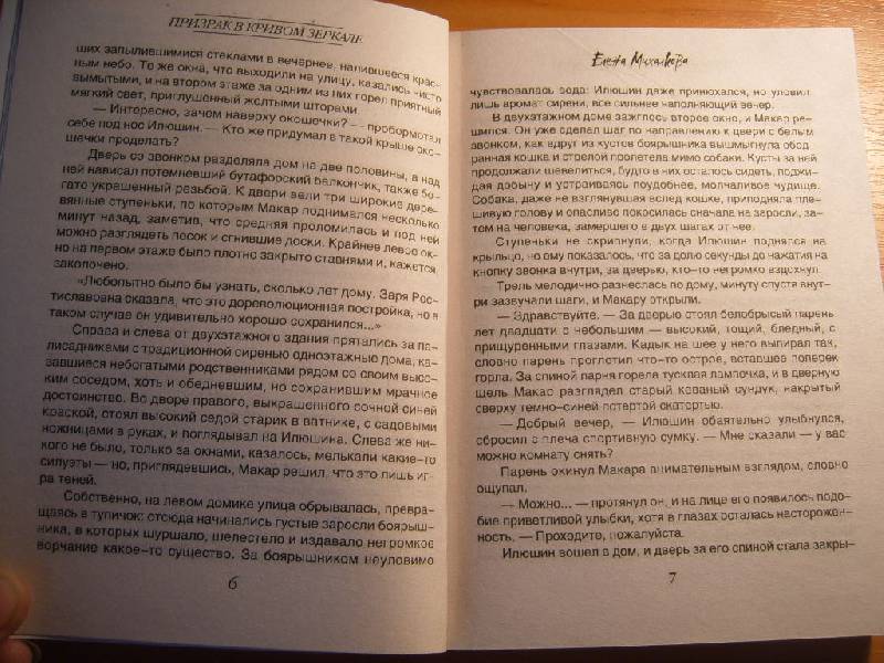 Иллюстрация 5 из 7 для Призрак в кривом зеркале - Елена Михалкова | Лабиринт - книги. Источник: Dorsi