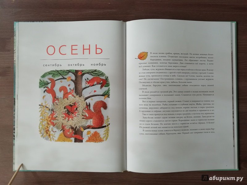 Иллюстрация 79 из 109 для В лесу - Петр Багин | Лабиринт - книги. Источник: Гошева  Елена