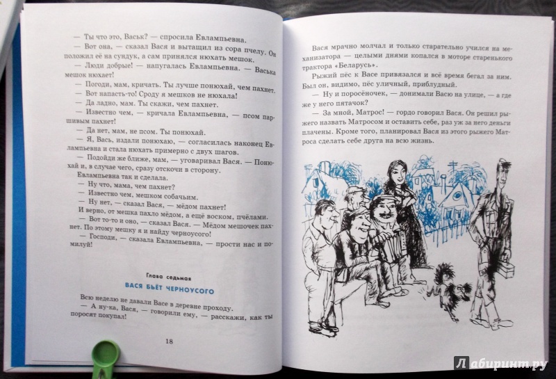 Иллюстрация 14 из 20 для Приключения Васи Куролесова - Юрий Коваль | Лабиринт - книги. Источник: Агаточка