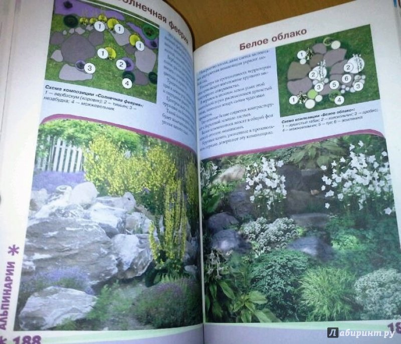 Иллюстрация 6 из 9 для Дизайн вашего сада - Ольга Сладкова | Лабиринт - книги. Источник: Космос