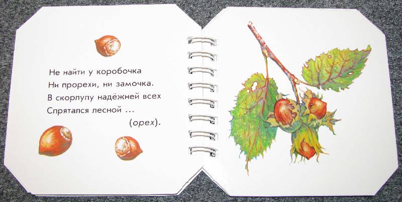 Иллюстрация 8 из 19 для Что в саду растёт - А. Геращенко | Лабиринт - книги. Источник: Апельсинка