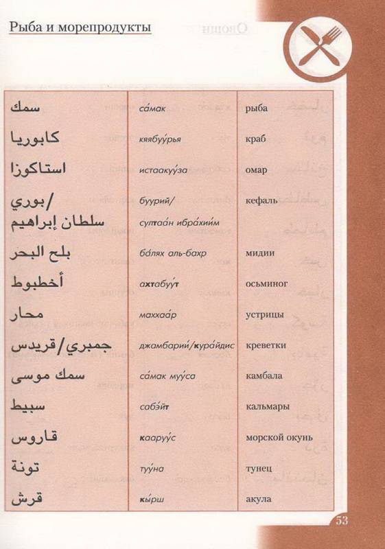 Иллюстрация 9 из 14 для Арабский разговорник и словарь (книга + CD) | Лабиринт - книги. Источник: Ялина