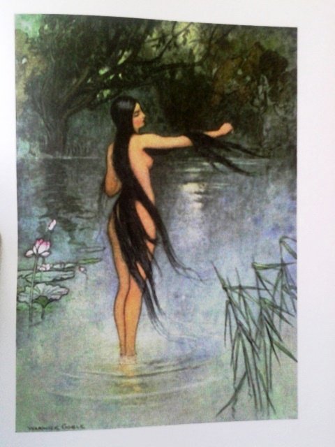 Иллюстрация 13 из 24 для Бенгальские сказки | Лабиринт - книги. Источник: storssen