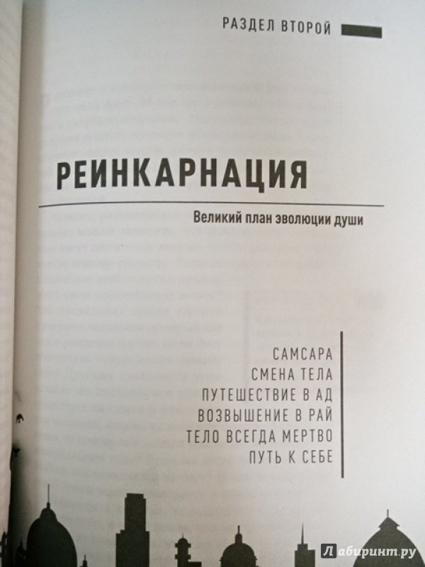 Иллюстрация 20 из 36 для Эволюция сознания - Александр Хакимов | Лабиринт - книги. Источник: Салус