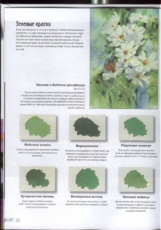 Иллюстрация 26 из 26 для Рисуем цветы акварелью - Жанет Уиттл | Лабиринт - книги. Источник: GallaL
