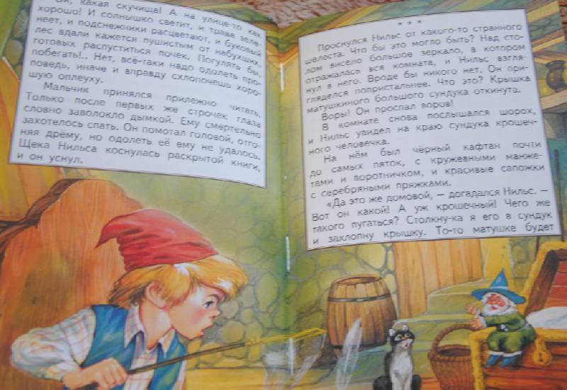 Иллюстрация 17 из 33 для Путешествие Нильса с дикими гусями - Сельма Лагерлеф | Лабиринт - книги. Источник: CatT
