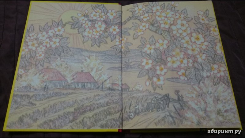 Иллюстрация 28 из 40 для Сказки из одной связки. Молдавские народные сказки | Лабиринт - книги. Источник: anka46