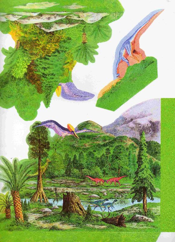 Иллюстрация 1 из 11 для Чудо-страницы: Динозавры | Лабиринт - игрушки. Источник: С  М В