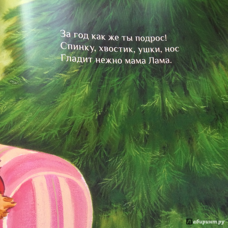 Иллюстрация 23 из 55 для Праздник маленького Ламы - Анна Дьюдни | Лабиринт - книги. Источник: Бакай Александра Васильевна