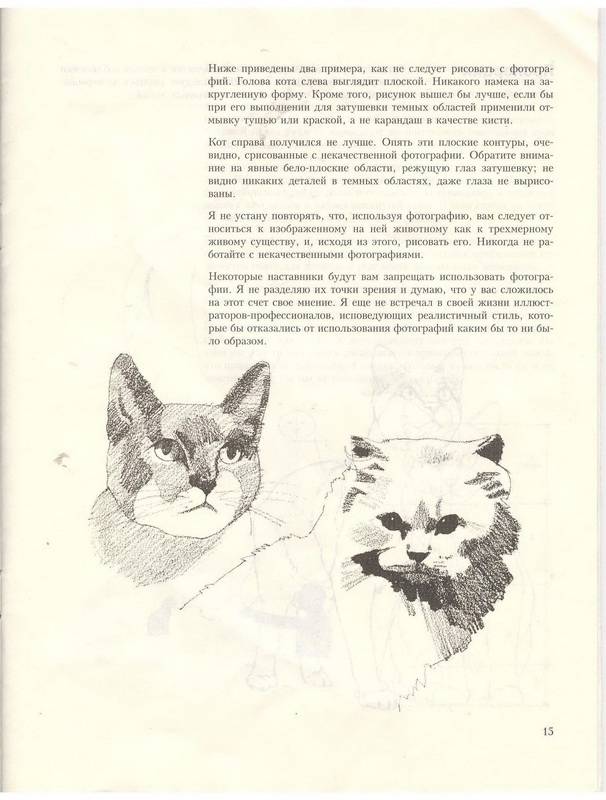 Иллюстрация 32 из 39 для Учитесь рисовать кошек - Дэвид Браун | Лабиринт - книги. Источник: Ялина