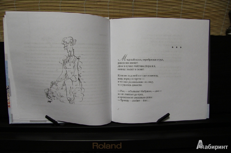 Иллюстрация 4 из 7 для С музыкой и пением - Марина Бородицкая | Лабиринт - книги. Источник: Pani Irena