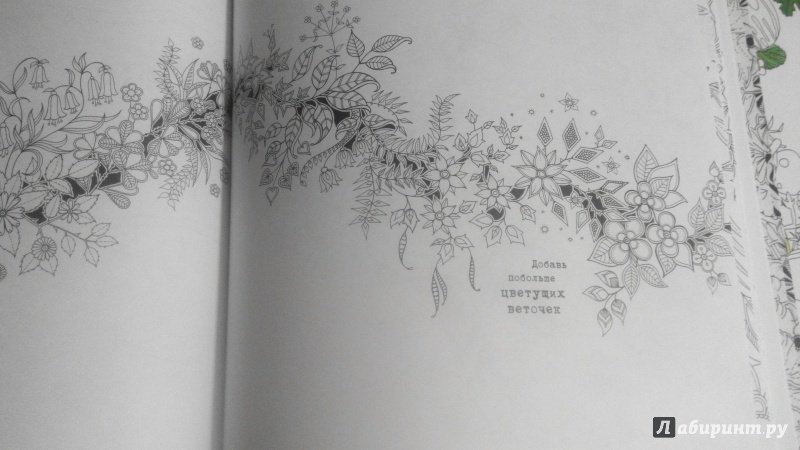 Иллюстрация 145 из 149 для Таинственный сад - Джоанна Бэсфорд | Лабиринт - книги. Источник: Красная шапочка