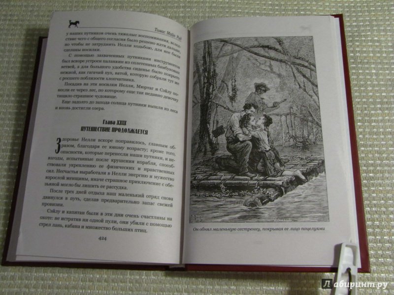 Иллюстрация 10 из 55 для Морской волчонок, или на дне трюма. Скитальцы Борнео, или Капитан Редвуд - Рид Майн | Лабиринт - книги. Источник: leo tolstoy