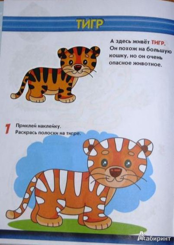 Иллюстрация 3 из 10 для В зоопарке. Маша и Медведь. Учимся с Машей. 2-3 года - Н. Иманова | Лабиринт - книги. Источник: СветланаС
