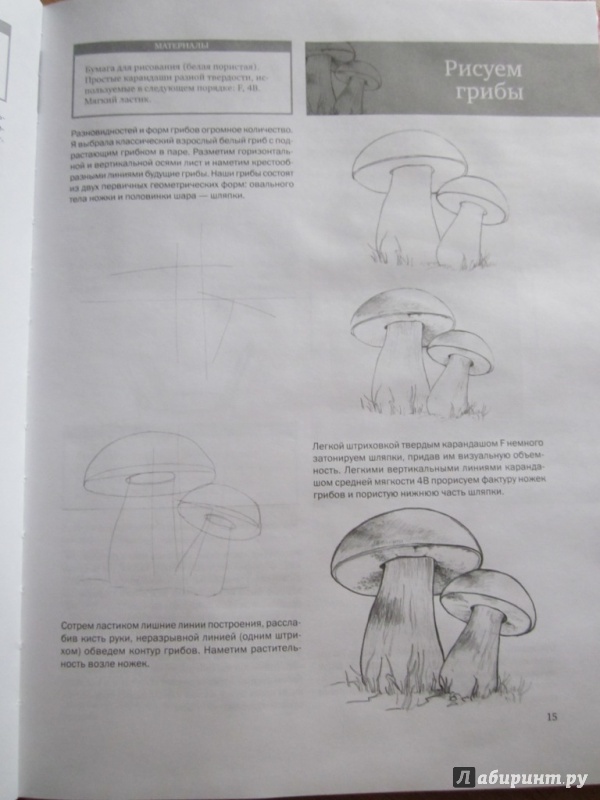 Иллюстрация 12 из 31 для Простые уроки рисования для начинающих - Виктория Мазовецкая | Лабиринт - книги. Источник: Белослава7