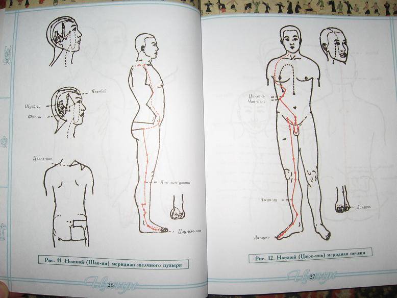 Иллюстрация 9 из 21 для Лечебная гимнастика цигун для глаз (+DVD) | Лабиринт - книги. Источник: Volk_