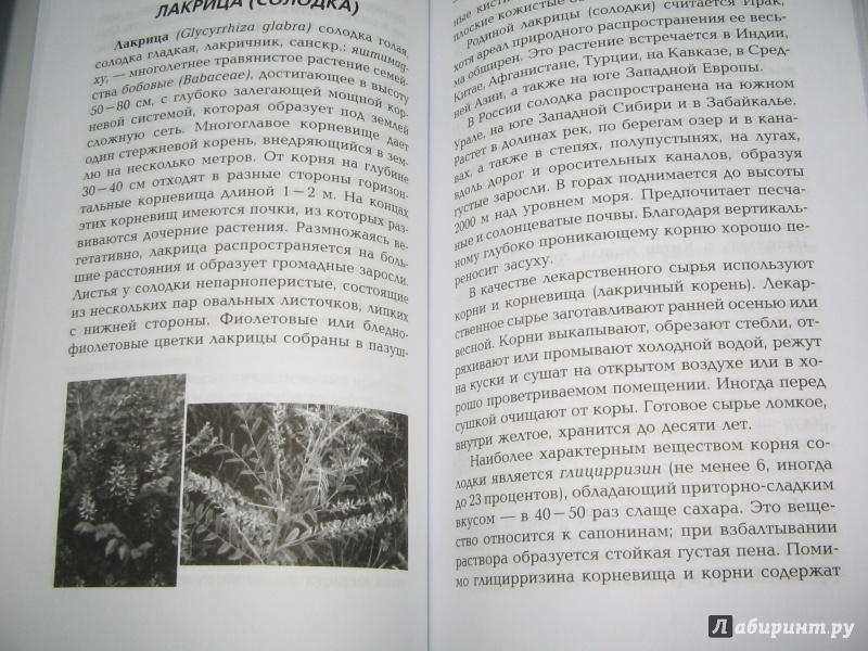 Иллюстрация 7 из 10 для Сакральные растения аюрведы - Амритананда Чопра | Лабиринт - книги. Источник: Alonka