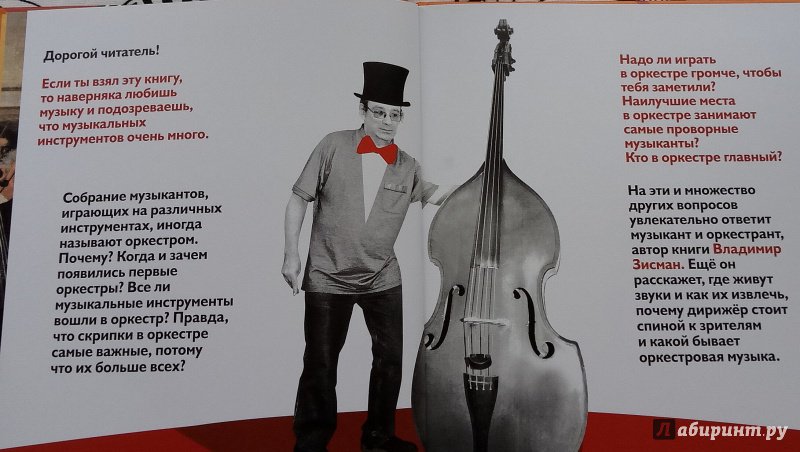 Иллюстрация 9 из 31 для Оркестр и его обитатели - Владимир Зисман | Лабиринт - книги. Источник: olga.vasilenko.cat