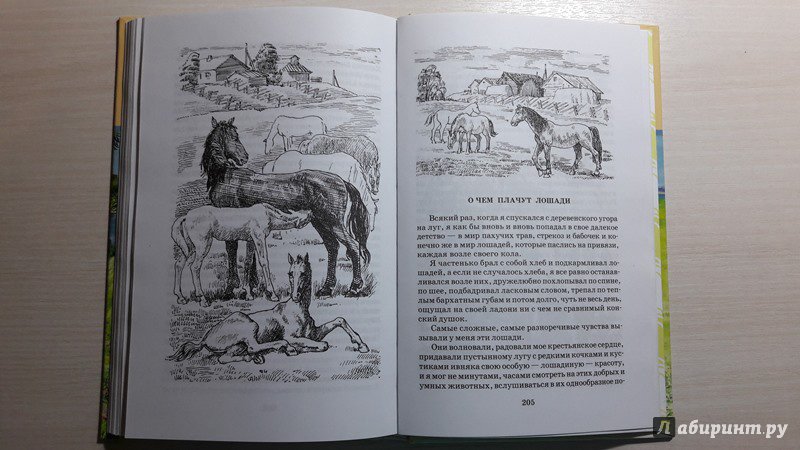 Иллюстрация 44 из 54 для О чем плачут лошади - Федор Абрамов | Лабиринт - книги. Источник: Елена  Е.