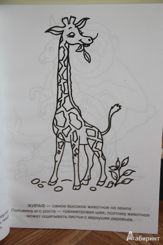 Иллюстрация 3 из 15 для Раскрасушка - прописи, путешествия (жираф) | Лабиринт - книги. Источник: Vilvarin  Laurea