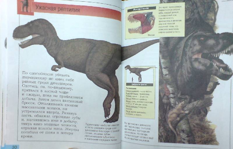 Иллюстрация 3 из 12 для Самые удивительные динозавры (серая) - Дугал Диксон | Лабиринт - книги. Источник: Настёна