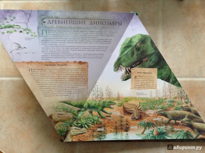 Иллюстрация 7 из 12 для Динозавры - Андрей Журавлев | Лабиринт - книги. Источник: bunabuna350