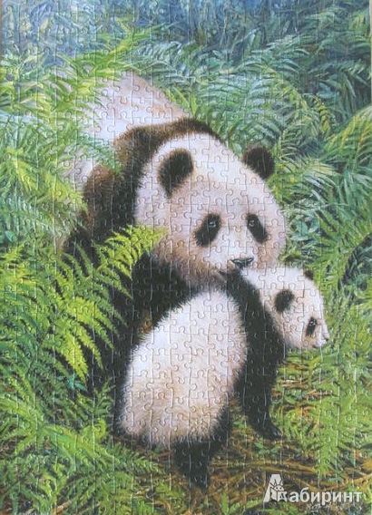Иллюстрация 3 из 3 для Puzzle-500 "Семья панды" (B-51656) | Лабиринт - игрушки. Источник: ЛиС-а