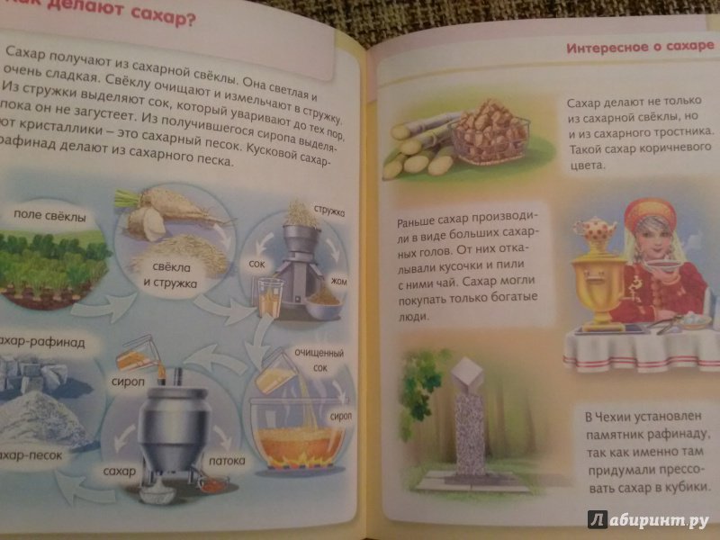 Иллюстрация 34 из 37 для Удивительные превращения. Как производят продукты питания - Марина Султанова | Лабиринт - книги. Источник: SergP