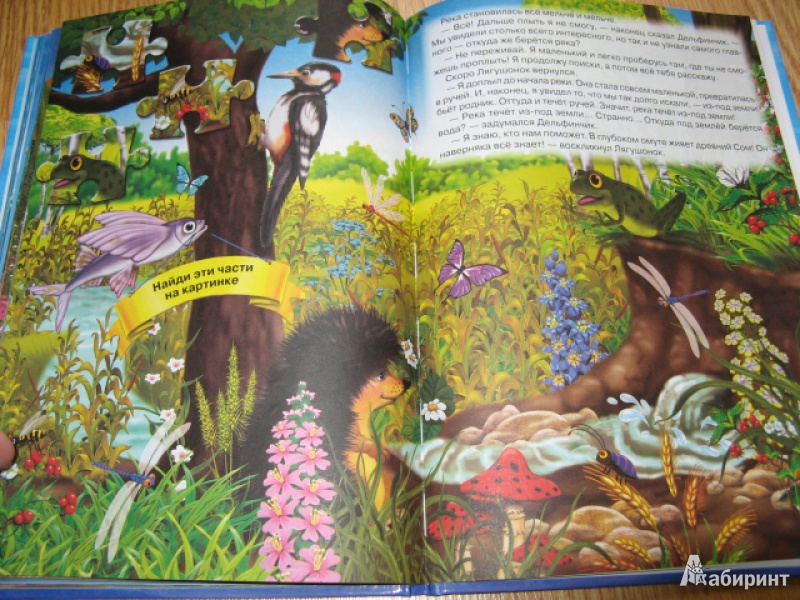 Иллюстрация 15 из 22 для Приключения Дельфинчика и его друзей - Синичкин, Конфеткина | Лабиринт - книги. Источник: Лунный кот