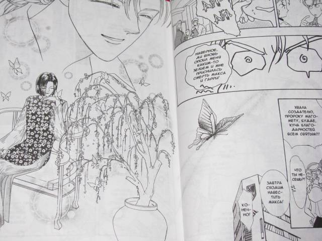 Иллюстрация 20 из 26 для Магазинчик ужасов. Том 7 - Мацури Акино | Лабиринт - книги. Источник: Nemertona