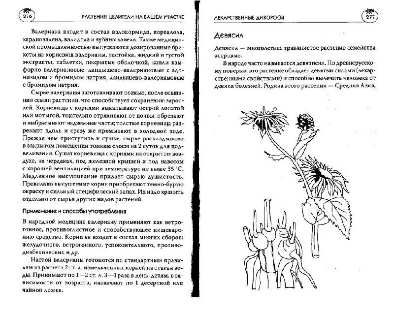 Иллюстрация 7 из 7 для Растения-целители на вашем участке - Мария Цветкова | Лабиринт - книги. Источник: ELVIRANIKA