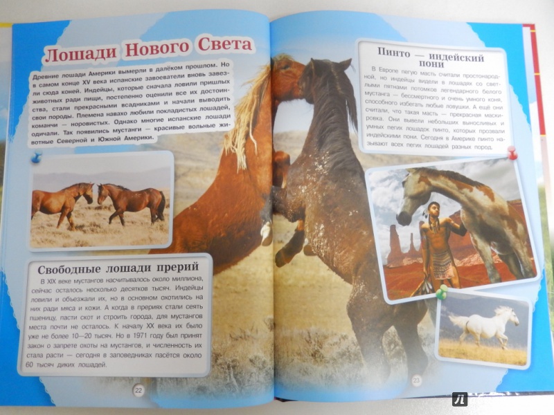 Иллюстрация 6 из 11 для Лошади и пони - Анна Спектор | Лабиринт - книги. Источник: dbyyb