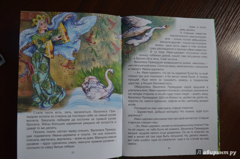 Иллюстрация 23 из 27 для Сказки Василисы Премудрой | Лабиринт - книги. Источник: Никулина  Евгения Евгеньевна
