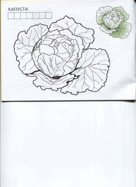 Иллюстрация 2 из 8 для Овощи | Лабиринт - книги. Источник: Марфа Посадница