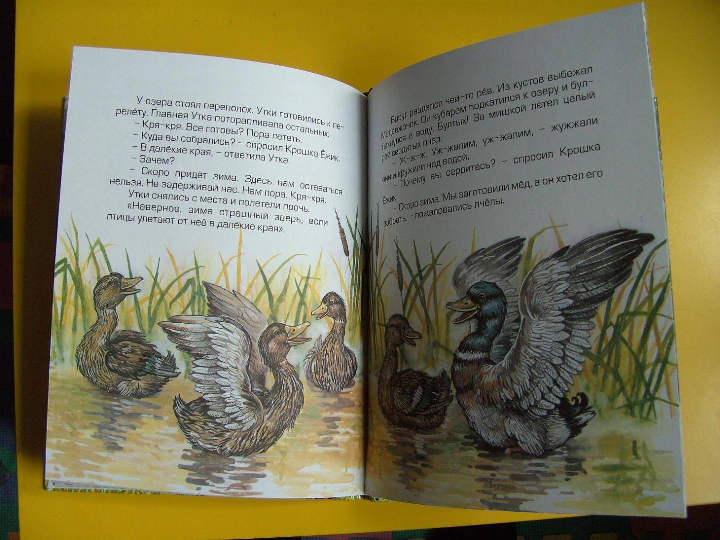 Иллюстрация 12 из 36 для Крошка Ежик - Тамара Крюкова | Лабиринт - книги. Источник: мама малыша