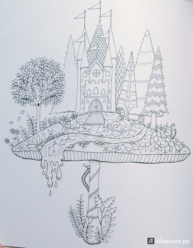 Иллюстрация 20 из 68 для Зачарованный лес - Джоанна Бэсфорд | Лабиринт - книги. Источник: mangust