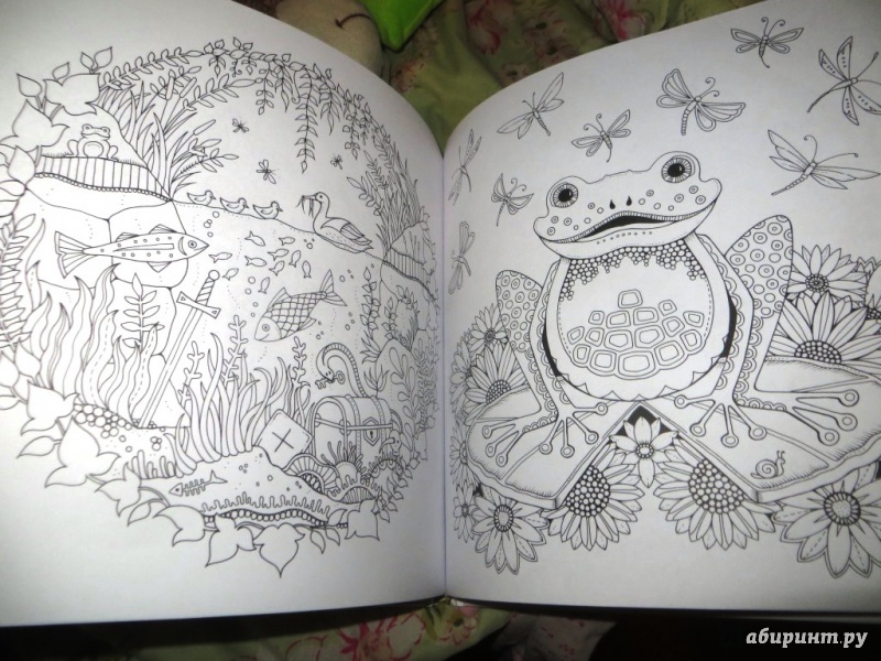 Иллюстрация 41 из 199 для Зачарованный лес. Книга для творчества и вдохновения - Джоанна Бэсфорд | Лабиринт - книги. Источник: Ko-ren