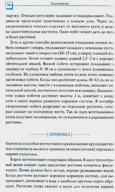 Иллюстрация 13 из 26 для Клематисы - Донюшкина, Зубкова | Лабиринт - книги. Источник: Galia